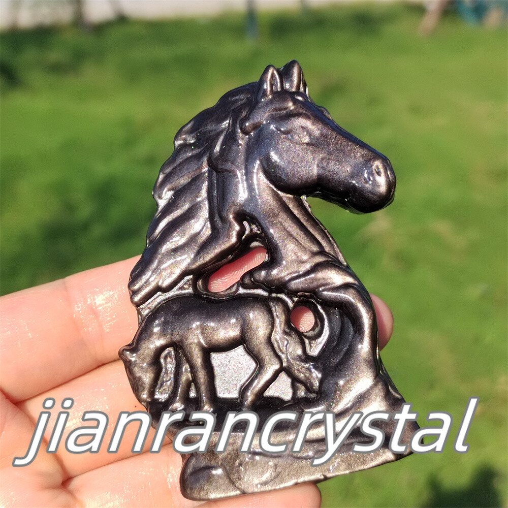 Natural Silver Obsidian Horse skull Carved Quartz Crystal Skull Healing 1pc