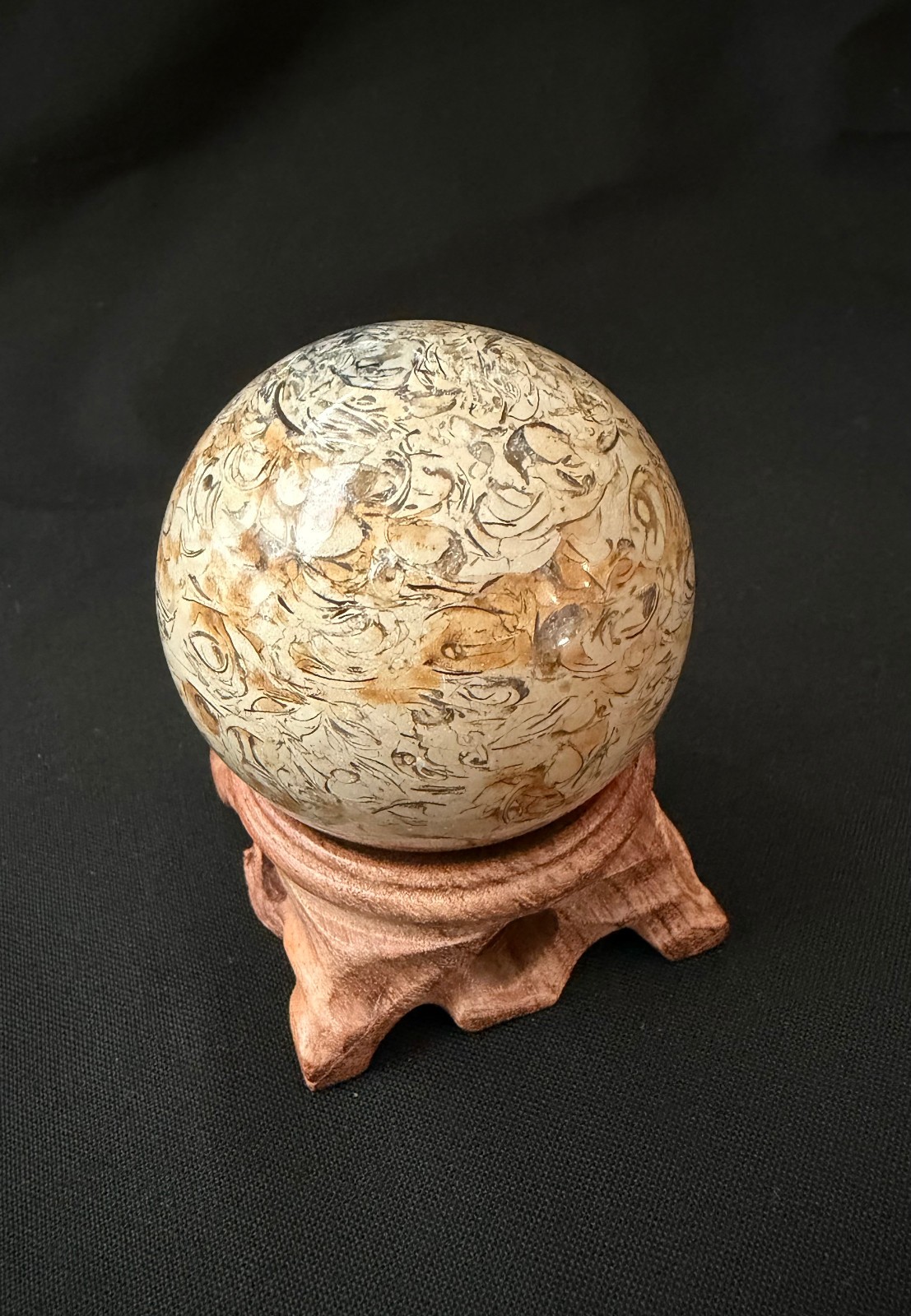 54mm Natural Fossil Shell Stone Sphere Polished Crystal Orb Display Ball