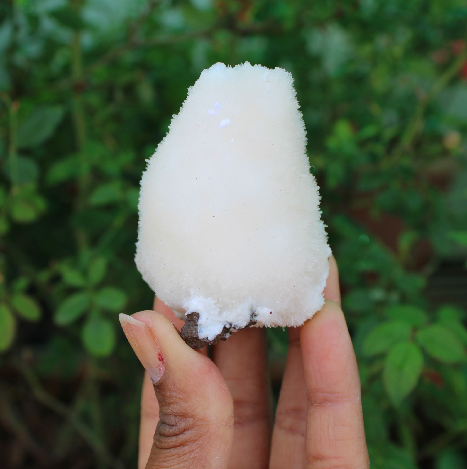 SCOLECITE ON MATRIX MINERALS SPECIMEN