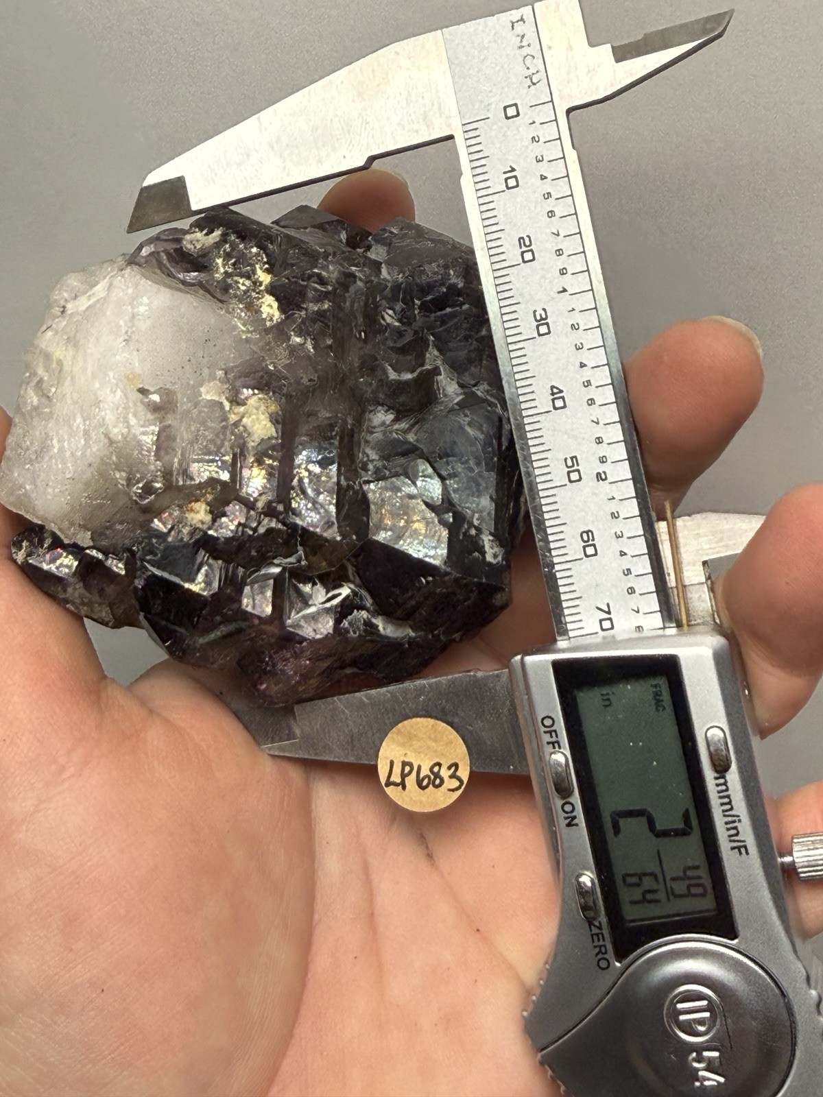 Skeletal Shangaan Amethyst Collector Mineral Specimen | Shangaan, Mozambique