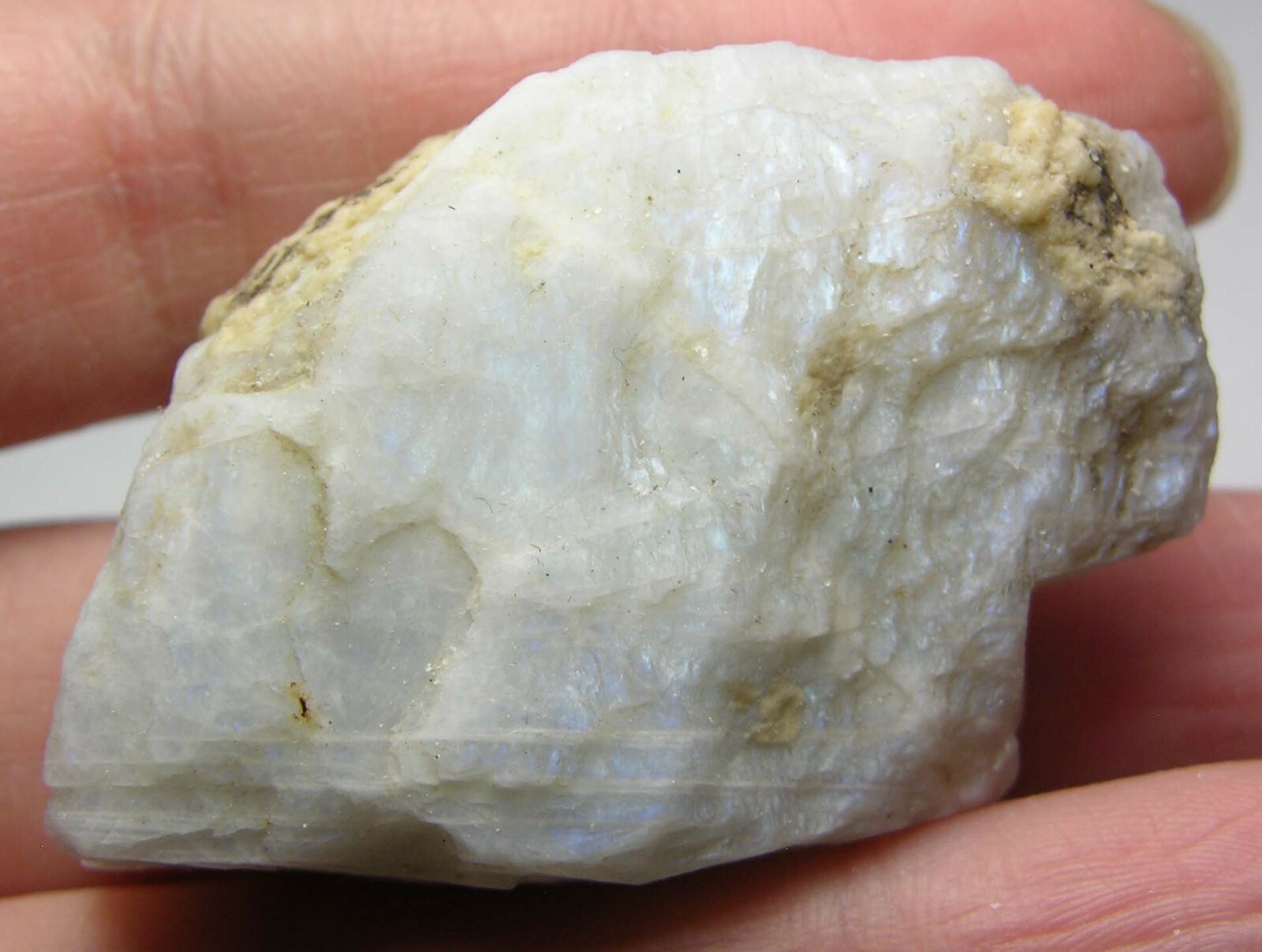 #19 Sri-Lanka 170.50ct 100% Natural Rough White MoonStone Specimen 34.00g 46mm