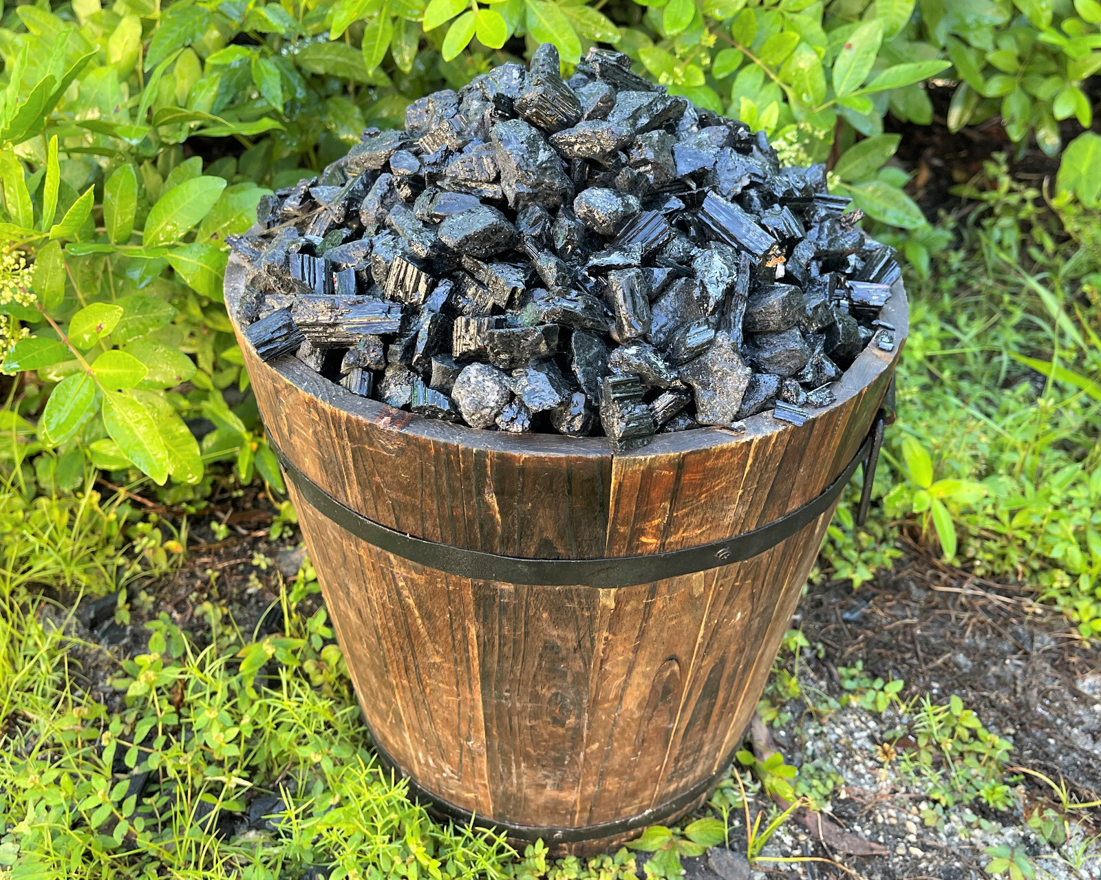 Black Tourmaline Crystals Natural Stones 1/2 lb Bulk Wholesale Collection Box