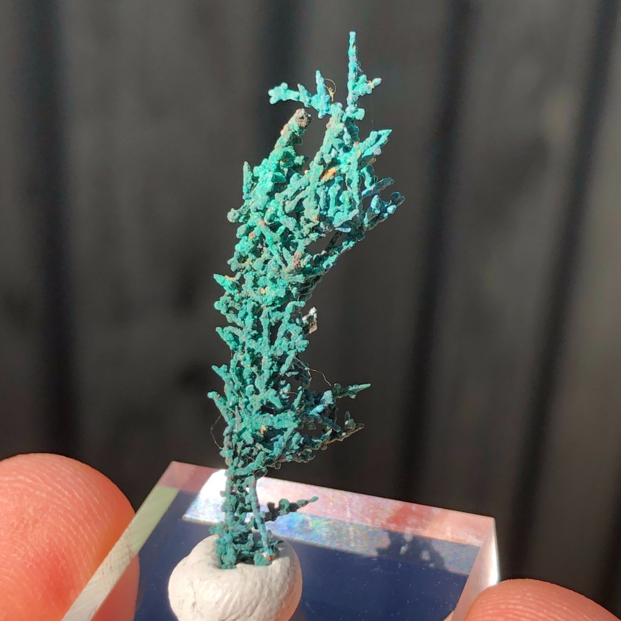 3.4cm Copper Wire Crystals with Malachite Patina from Mount Isa, QLD, Australia