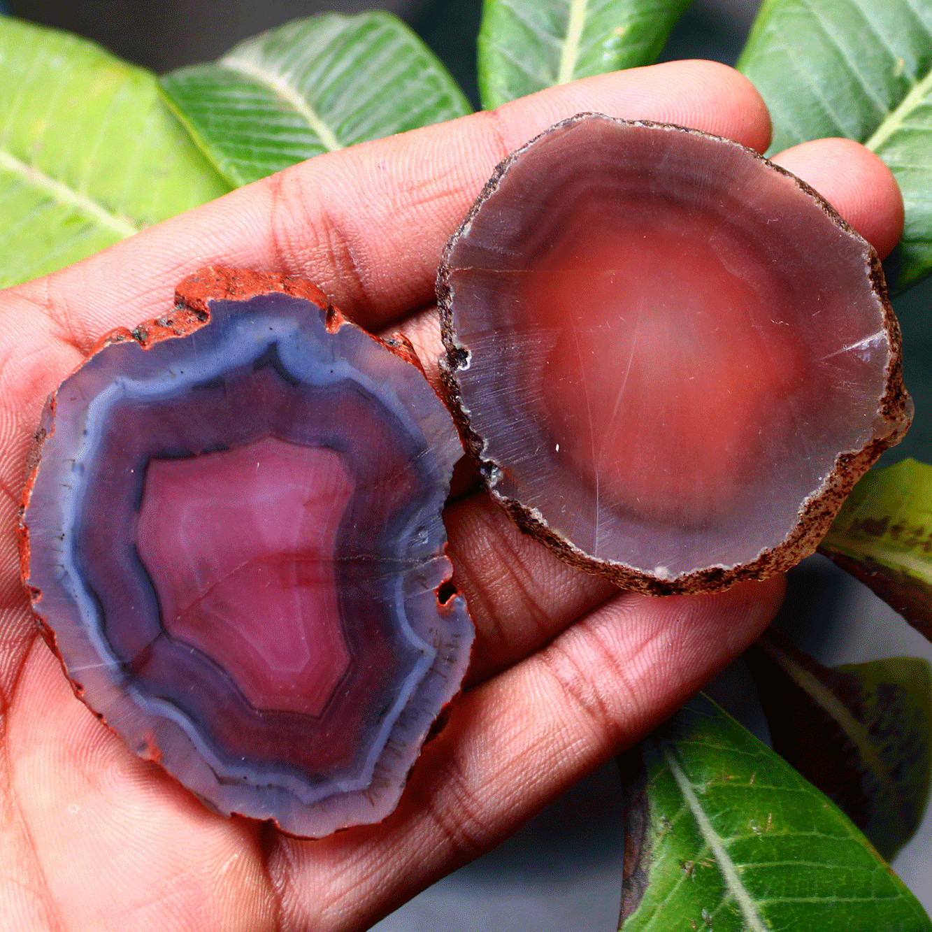 2 Pcs Natural Botswana Agate Raw Crystal Slice Druzy Slab Reiki Mineral Specimen
