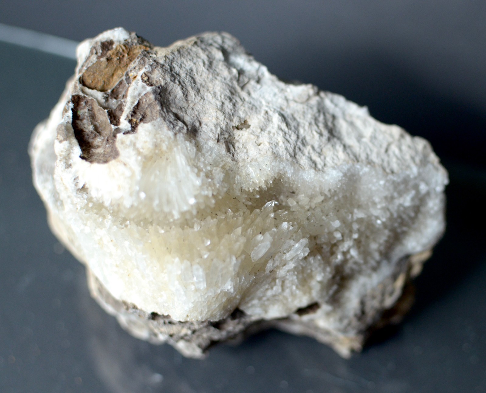 Fluorescent Aragonite Needle Spray in Fossil Matrix | Crystal River, Florida