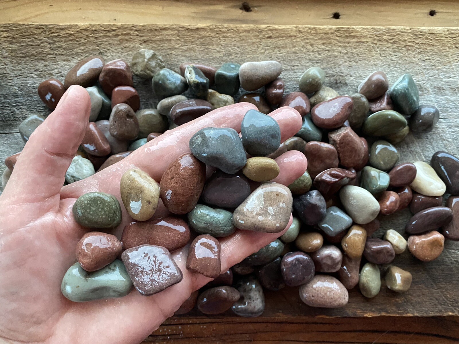 4 lbs Colorful Rainbow stones 1″ terrarium rocks landscape Natural Stones
