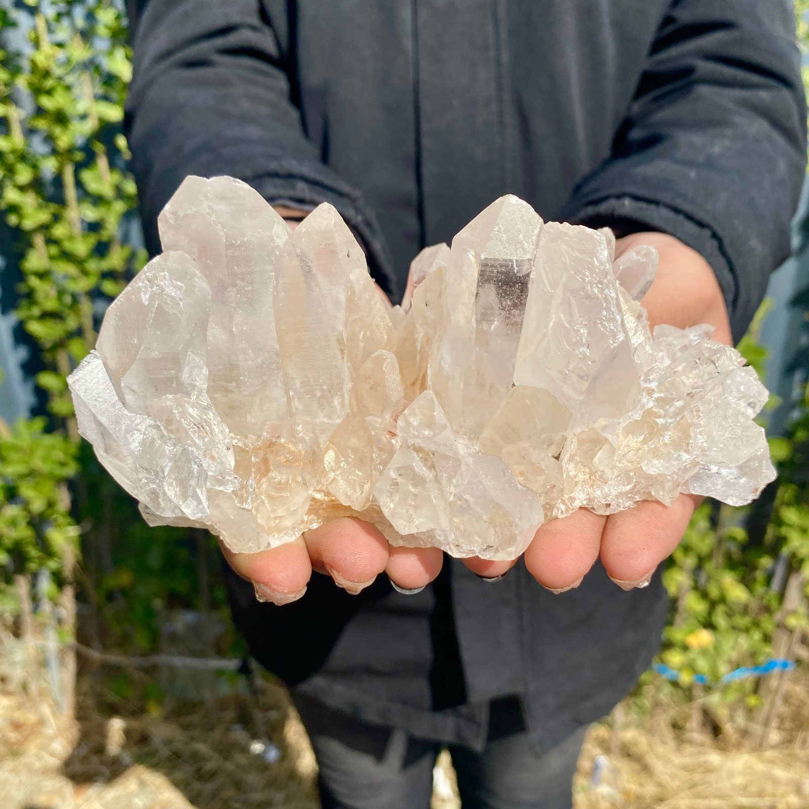 1.21LB Large Natural Clear White Crystal Quartz Cluster Energy Healing Specimen