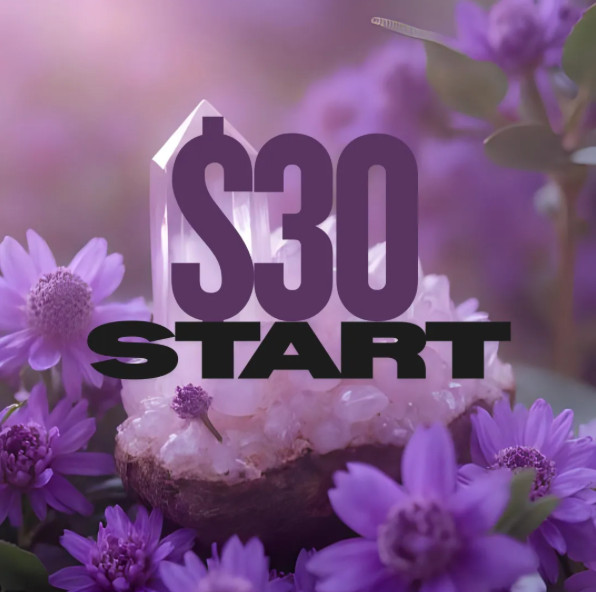 $30 eBay Live