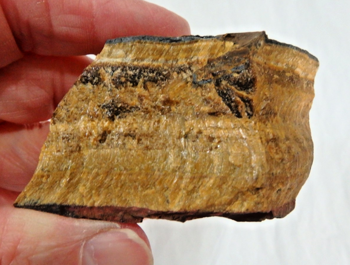 Stunning Tiger’s Eye Chatoyancy Shimmering Golden 97.7 grams Old Stock