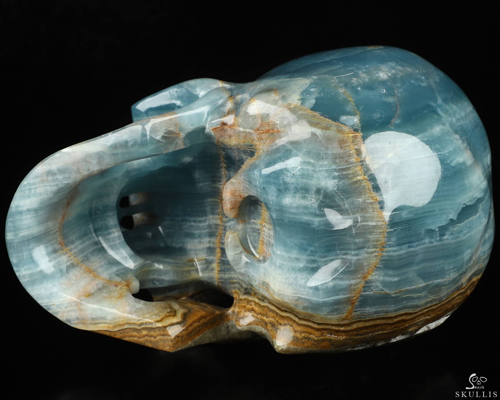 Super Realistic! Lifesized 7.0″ Blue Onyx Hand Carved Crystal Skull, Healing