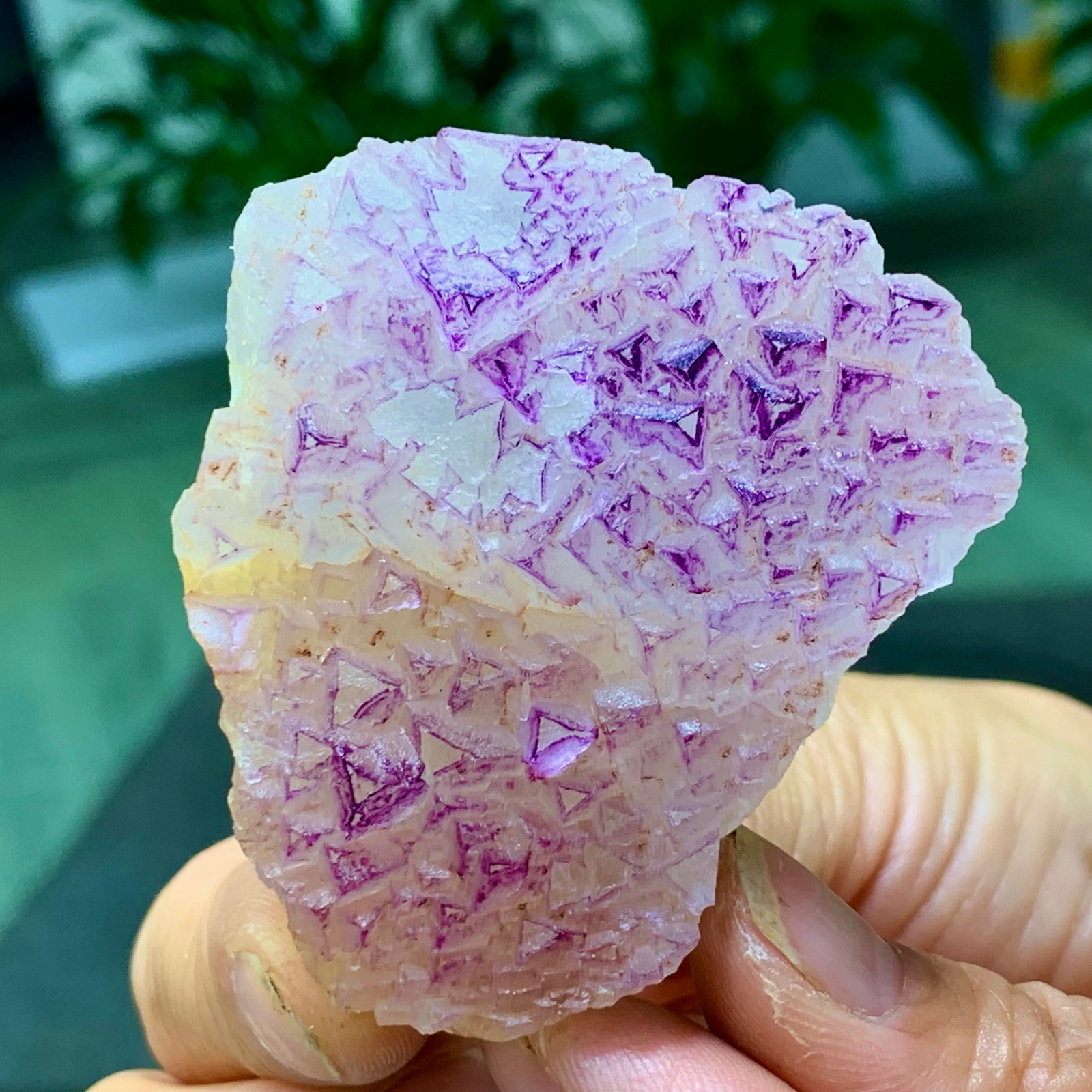 100G Natural fluorite purple edged cubic crystal mineral sample
