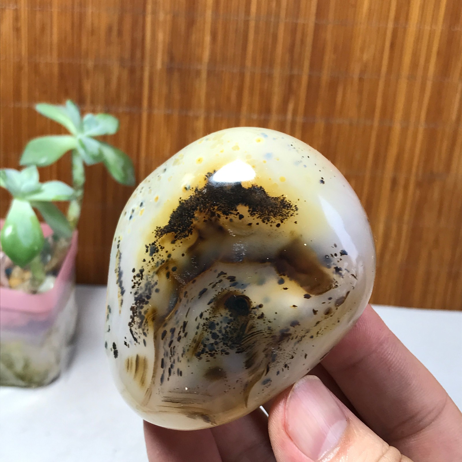 71mm Natural aquatic plants agate pretty Crystal specimens 210g A1637