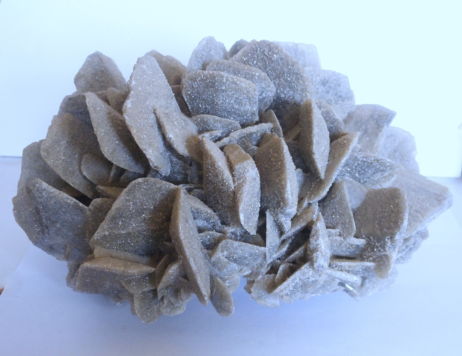Huge Desert Rose Selenite. Natural. Gypsum. Saudi Arabia 9.0″ (23 cm). 7.1 Lb