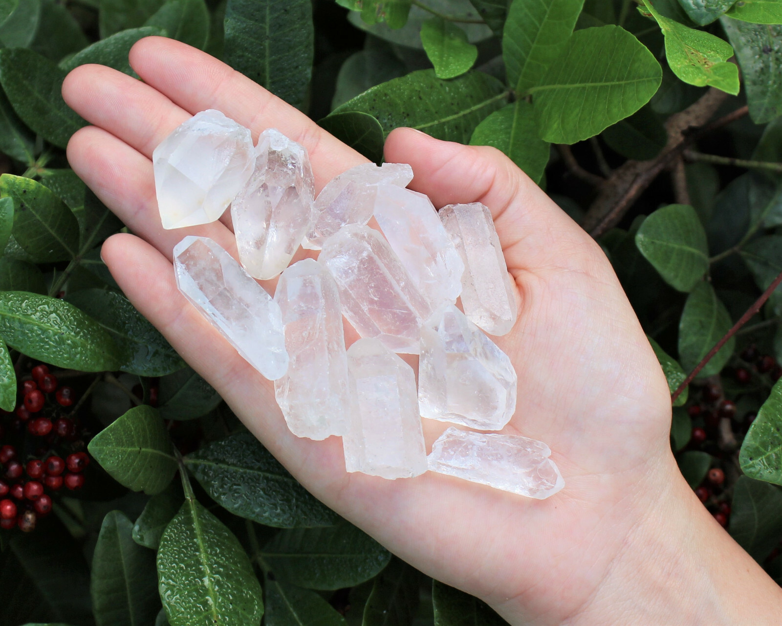 Lot of 3 LARGE Clear Quartz Point Crystals: 1″ – 1.5″ Crystal Points (US Seller)