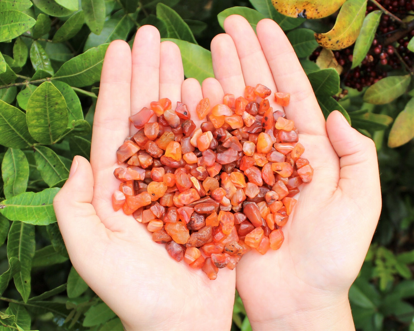 Carnelian Semi Tumbled Gemstone Mini Chips 5-15 mm, ‘A’ Grade Wholesale Bulk Lot