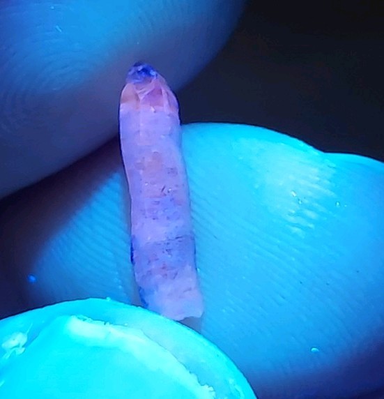 STUNNING DT WHITE & BLUE SAPPHIRE FROM SRI LANKA