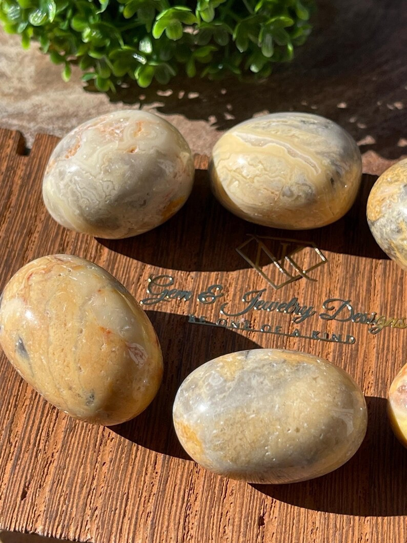 Natural Crazy Lace Agate Crystal Tumble – Root, Sacral, and Solar Plexus Chakra
