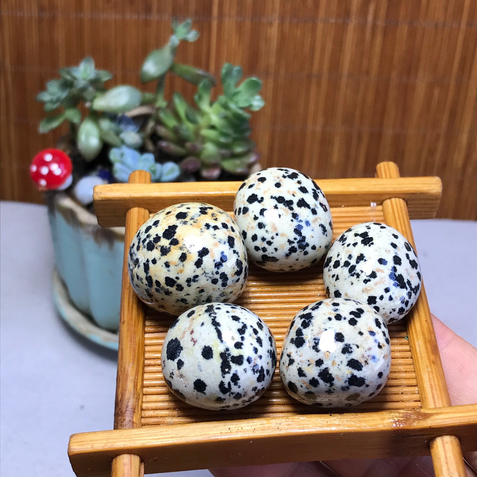24-24-18mm 5Pcs Natural spotted stone Crystal gemstone Mineral Specimen A5717