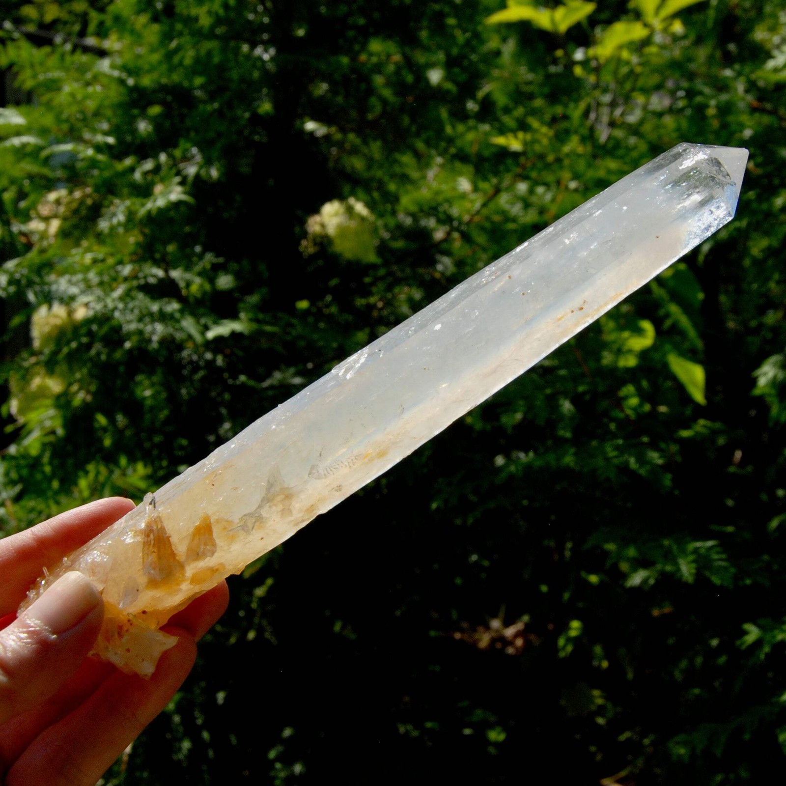 XL AAA Colombian Blue Smoke Lemurian Quartz Crystal Starbary, 8.5″ 244g Record K
