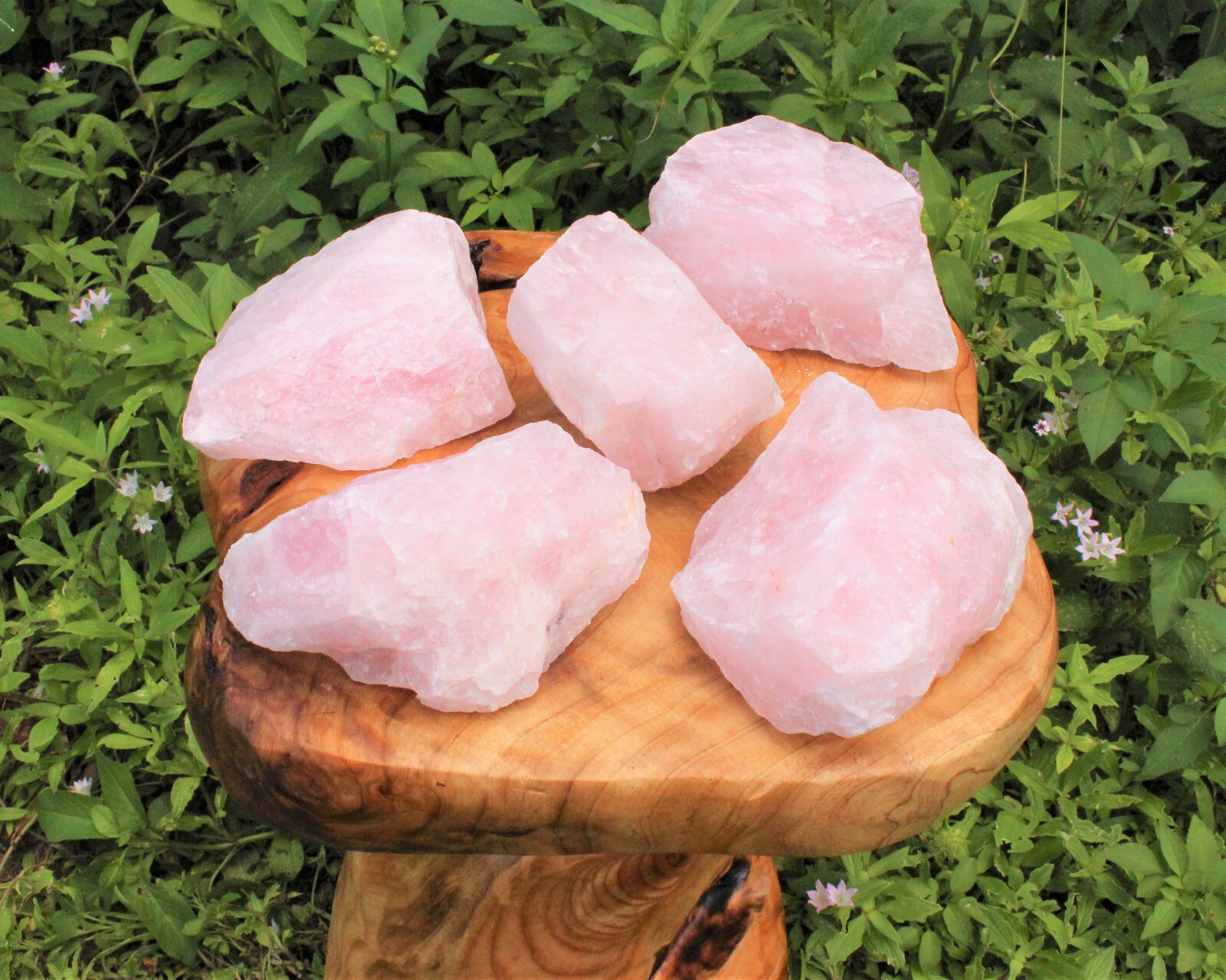 JUMBO Rose Quartz Raw Natural Crystal Specimen: 1 – 2 lb HUGE Chunk (Love Stone)