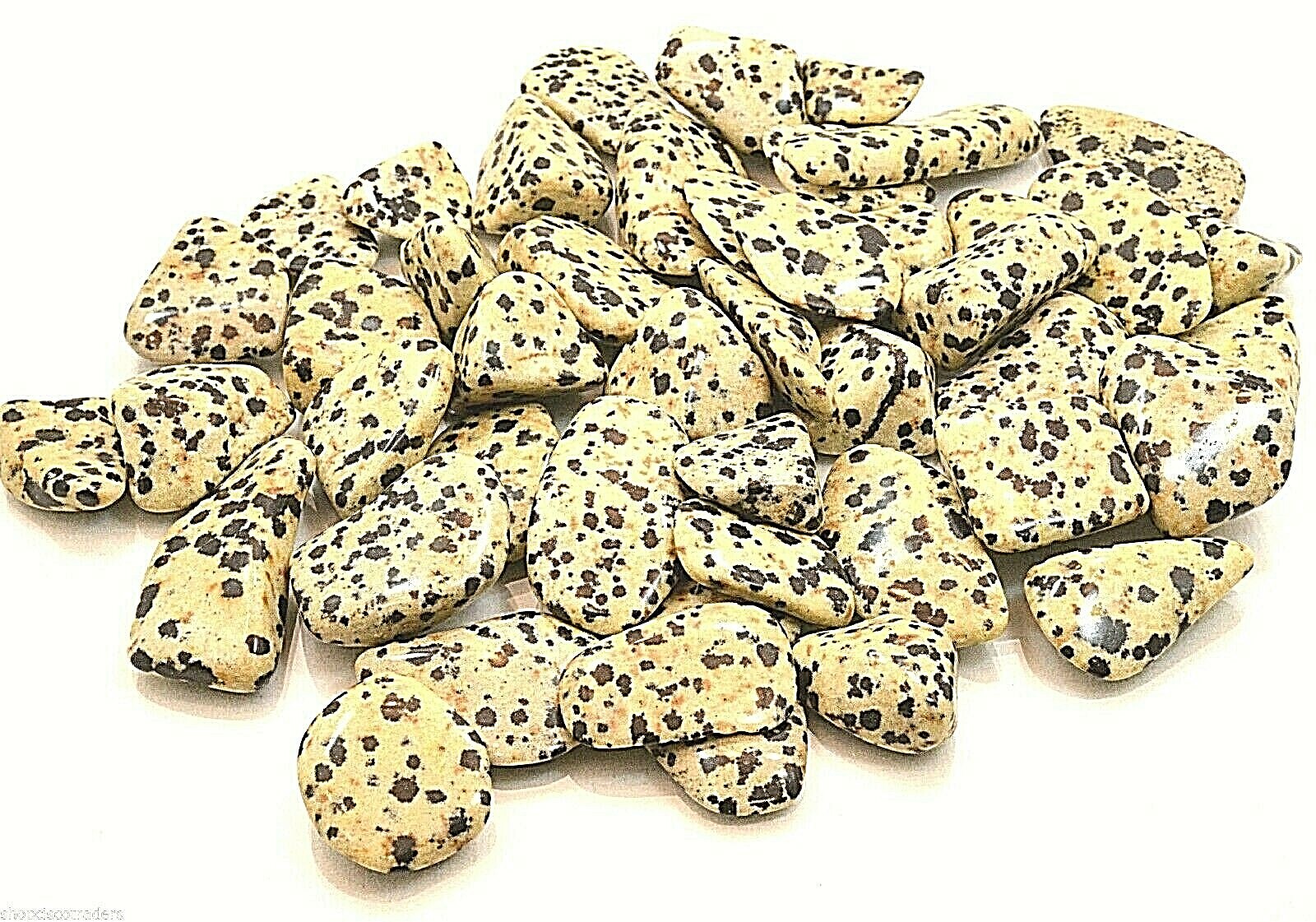 6X Dalmatian Jasper Tumbled Stone 30mm Reiki Healing Crystal Protection Grounds