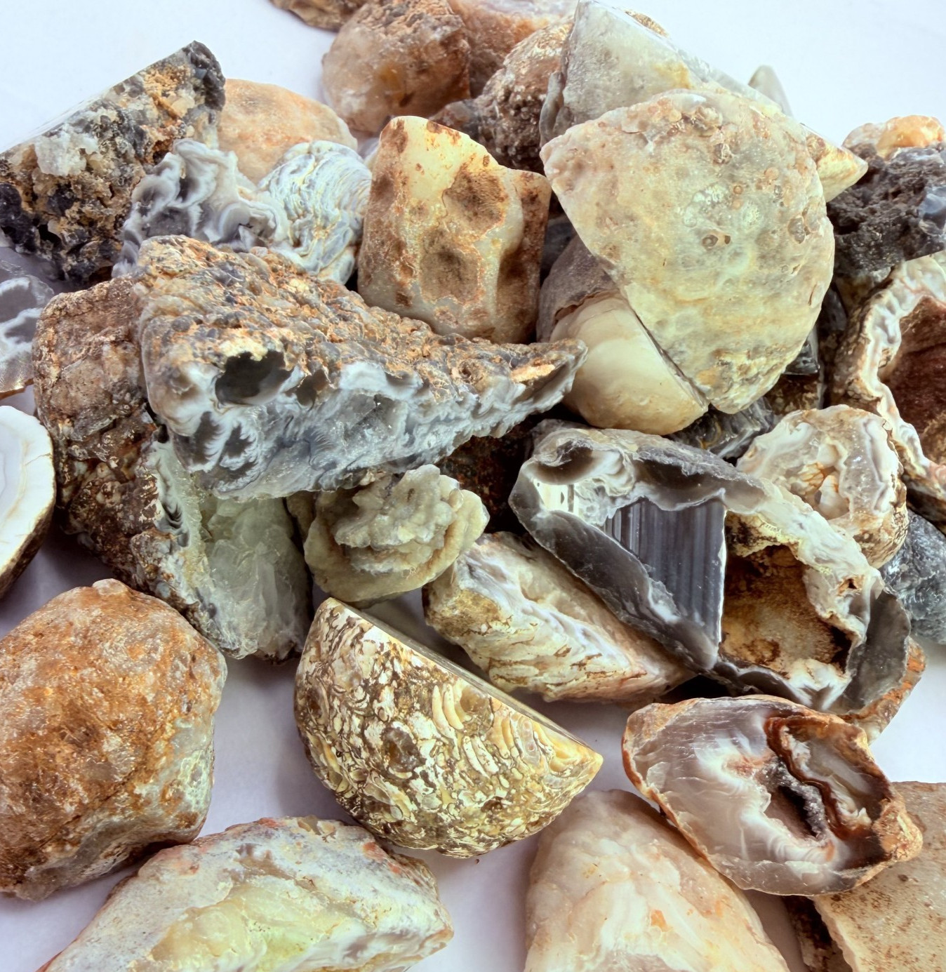 1 2 lb Mini Occo Geodes Brazil Agate Druzy Crystal Variety Lot 9 12pcs 1″
