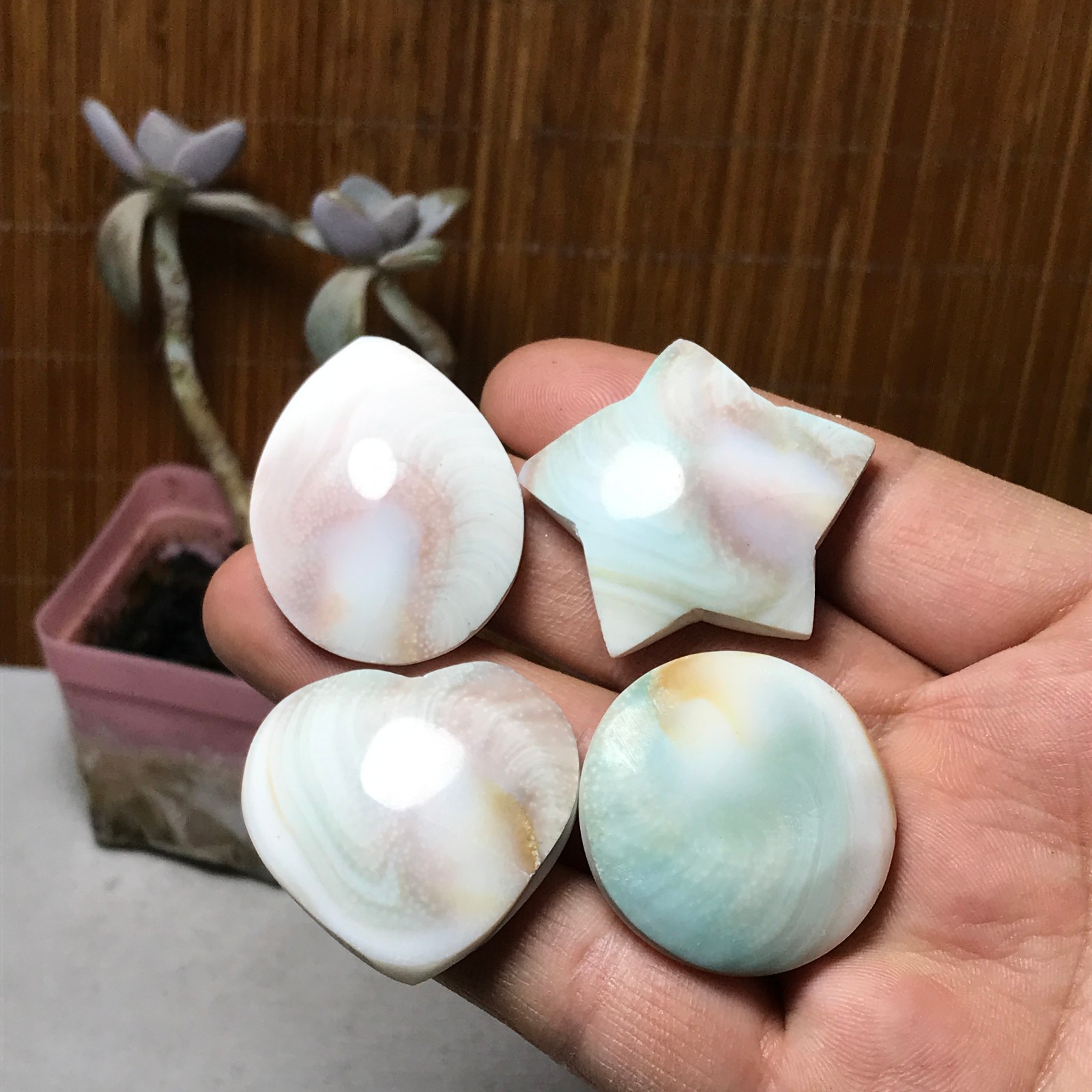 4Pcs Natural sun shell star Heart Reiki Shiva Eye ocean quartz carve A3331