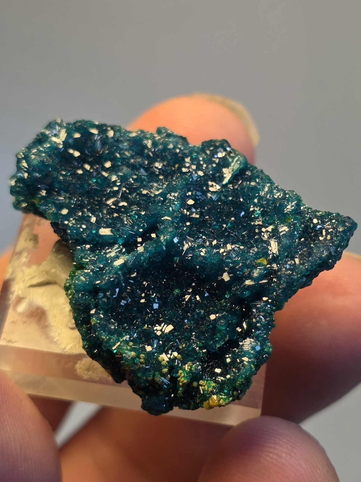 DIOPTASE w/ Wulfinite Crystal Mineral Specimen Cluster Green CONGO AFRICA 4.5 cm