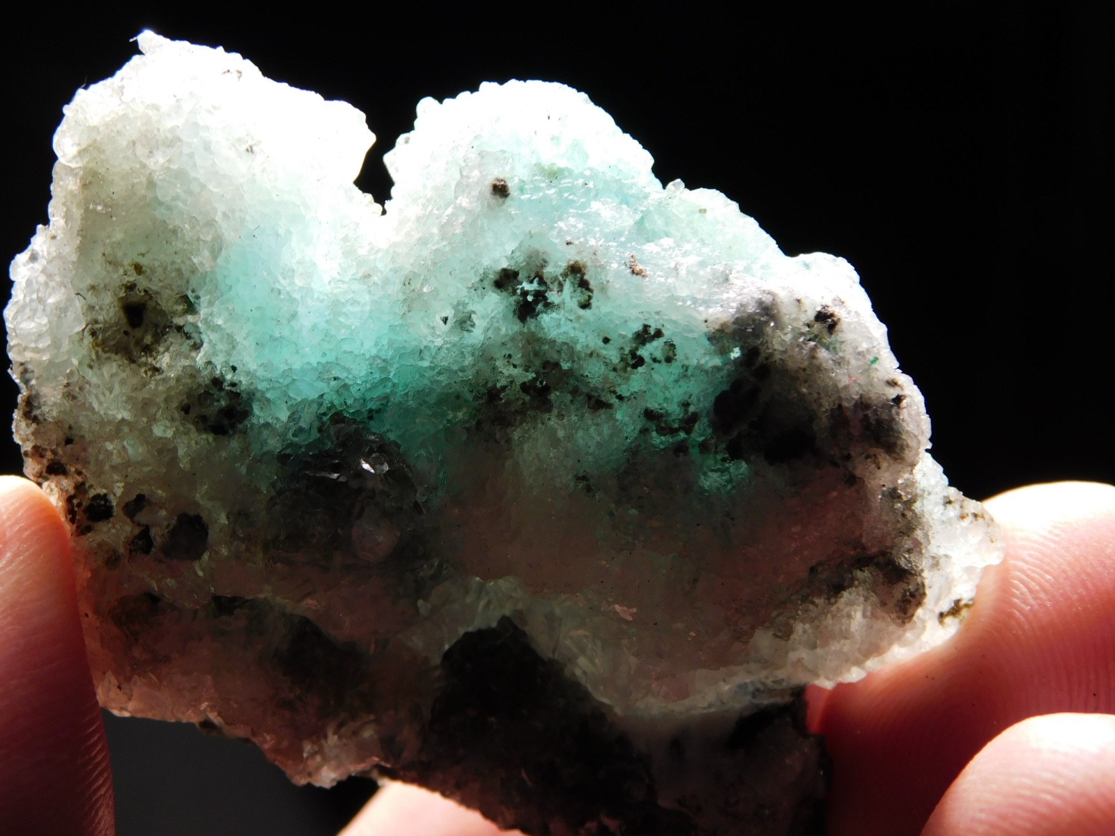 Light BLUE! CHRYSOCOLLA Cluster with Translucent Druzy Quartz Mexico 37.8gr