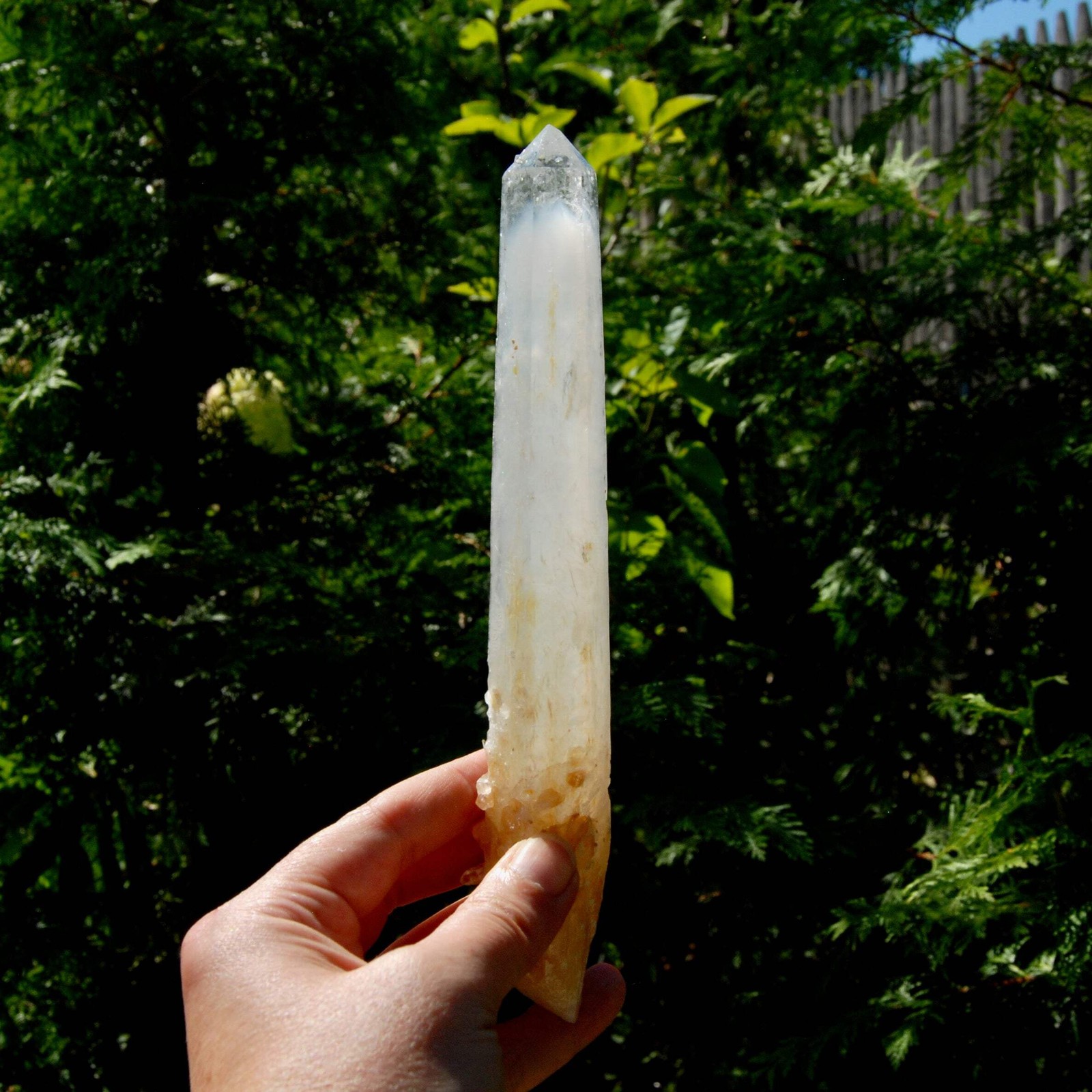 XL AAA Colombian Blue Smoke Lemurian Quartz Crystal Starbary, 8.5″ 244g Record K