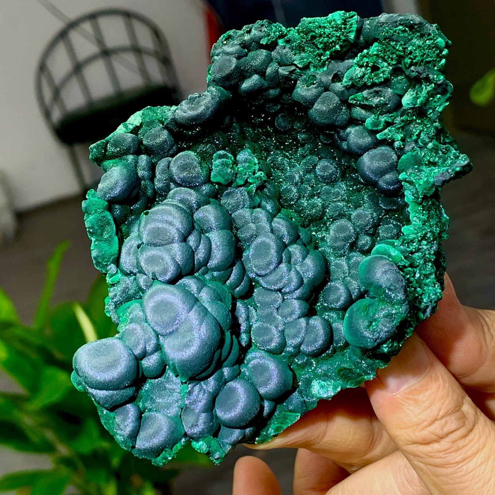 205g Natural glossy malachite cat eye transparent cluster rough mineral Sample