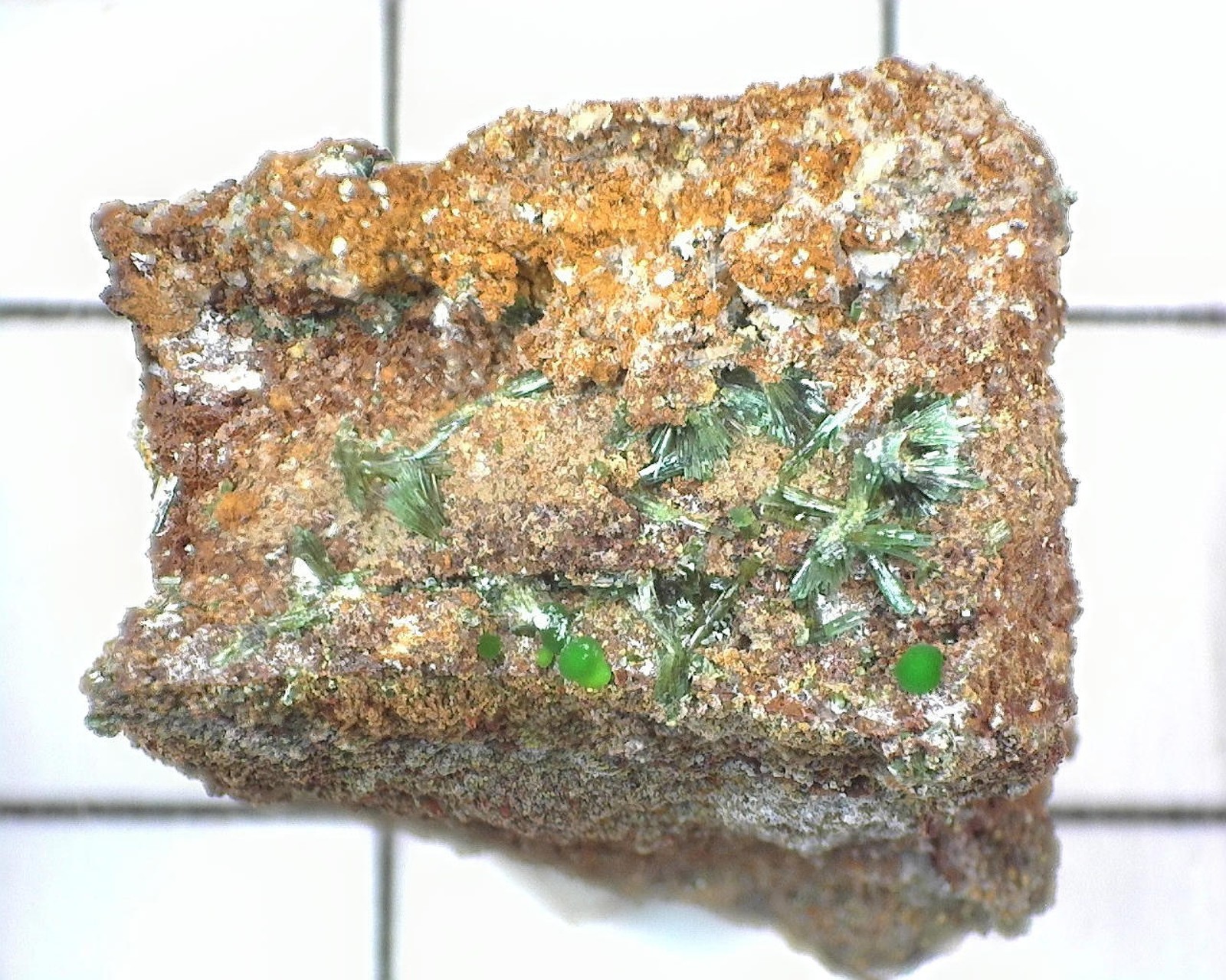 20436 MM Conichalcite Olivenite Smithsonite Lavreotiki East Attica Attica Greece