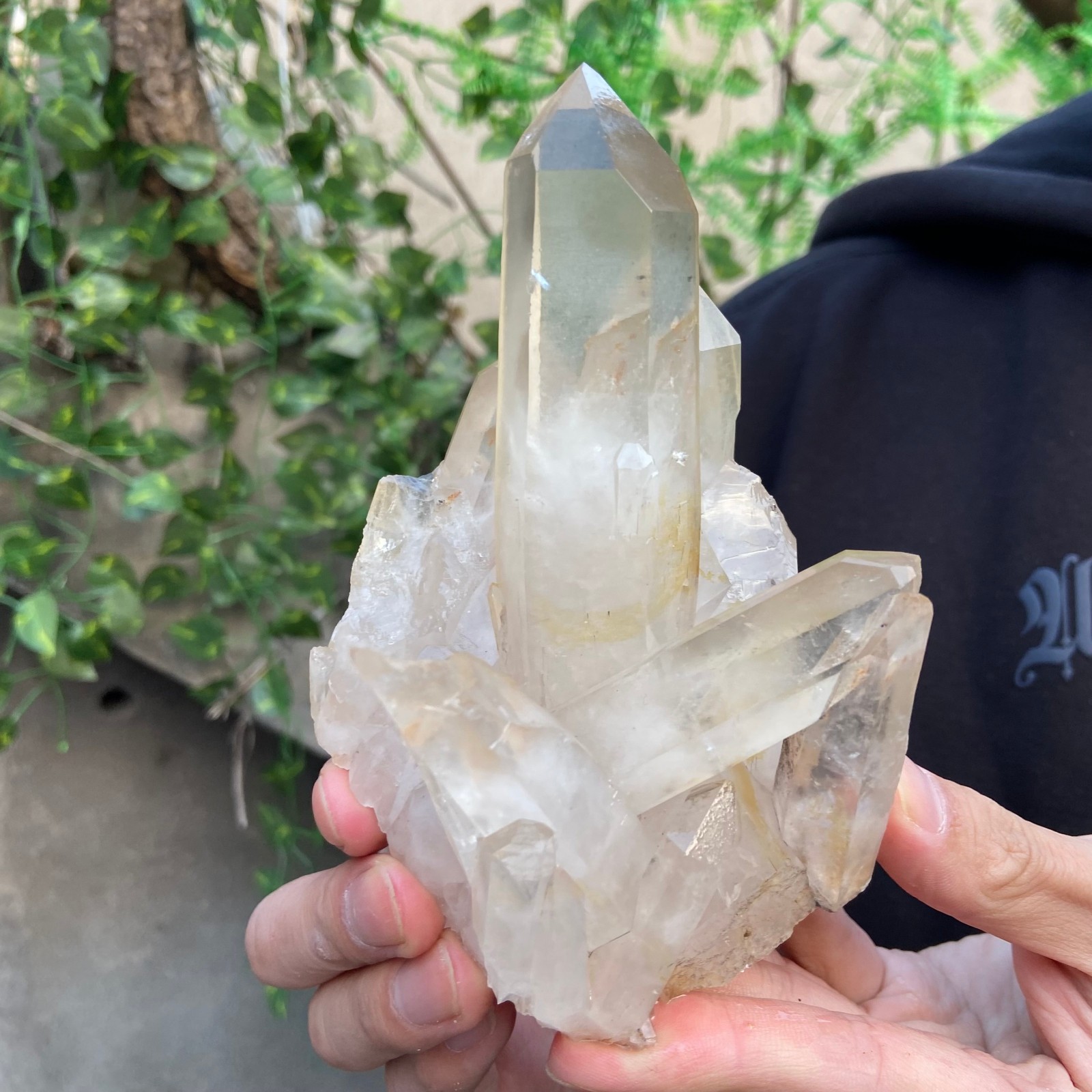 1.5lb Natural Clear White Quartz Crystal Cluster Rough Healing Specimen