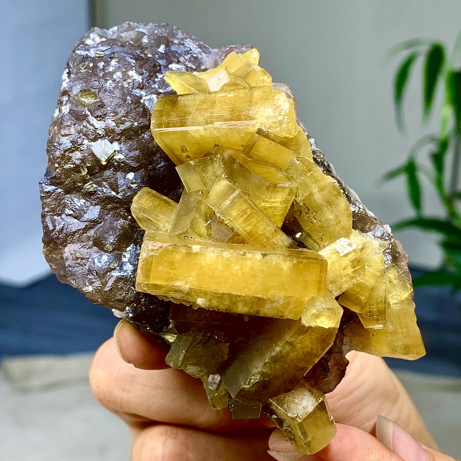 338G Shiny Golden Cuboid Barite Crystal Based on the Purple Spherical Fluorite