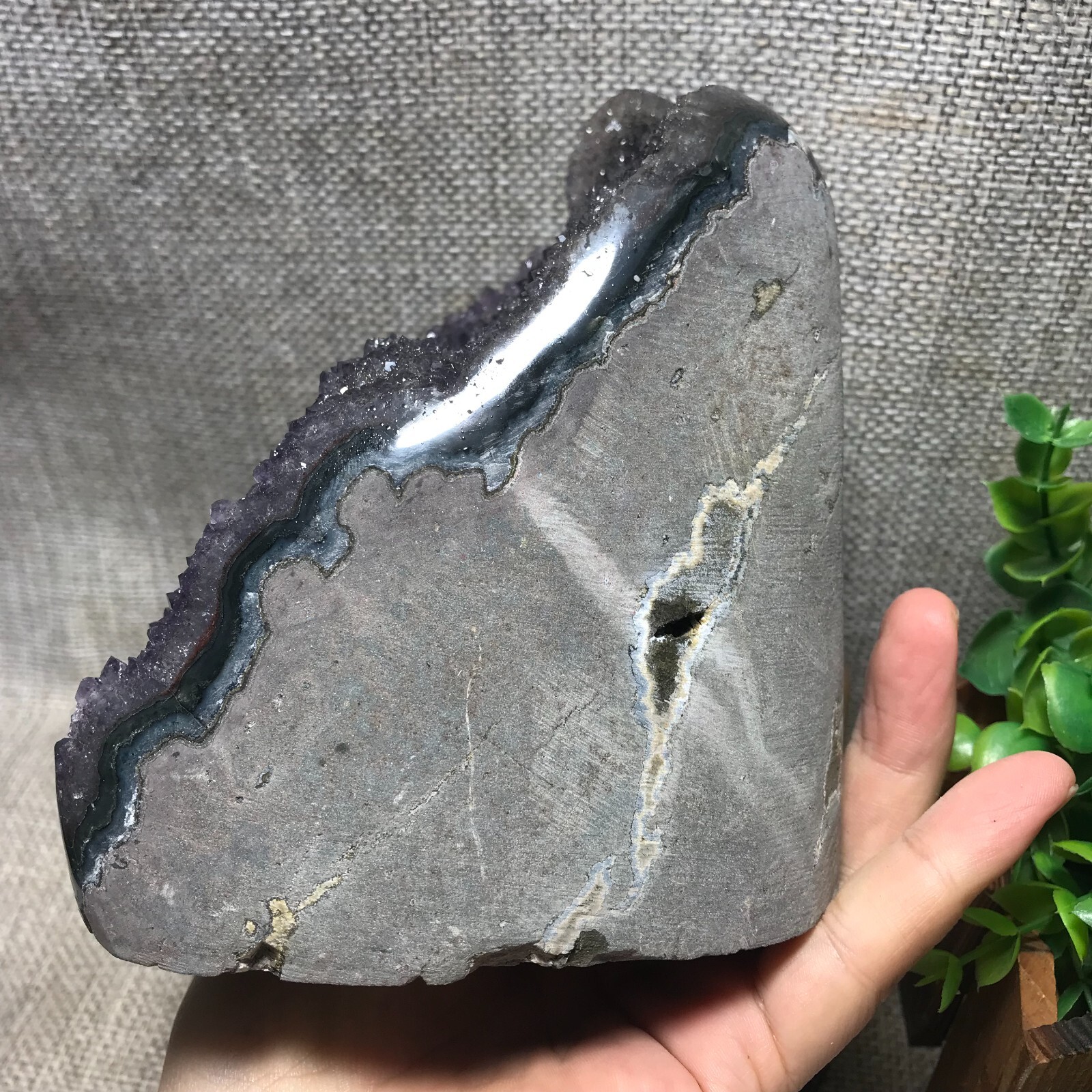 1400g Natural Amethyst Cluster Geodes Cut Base Quartz Crystal Healing 35