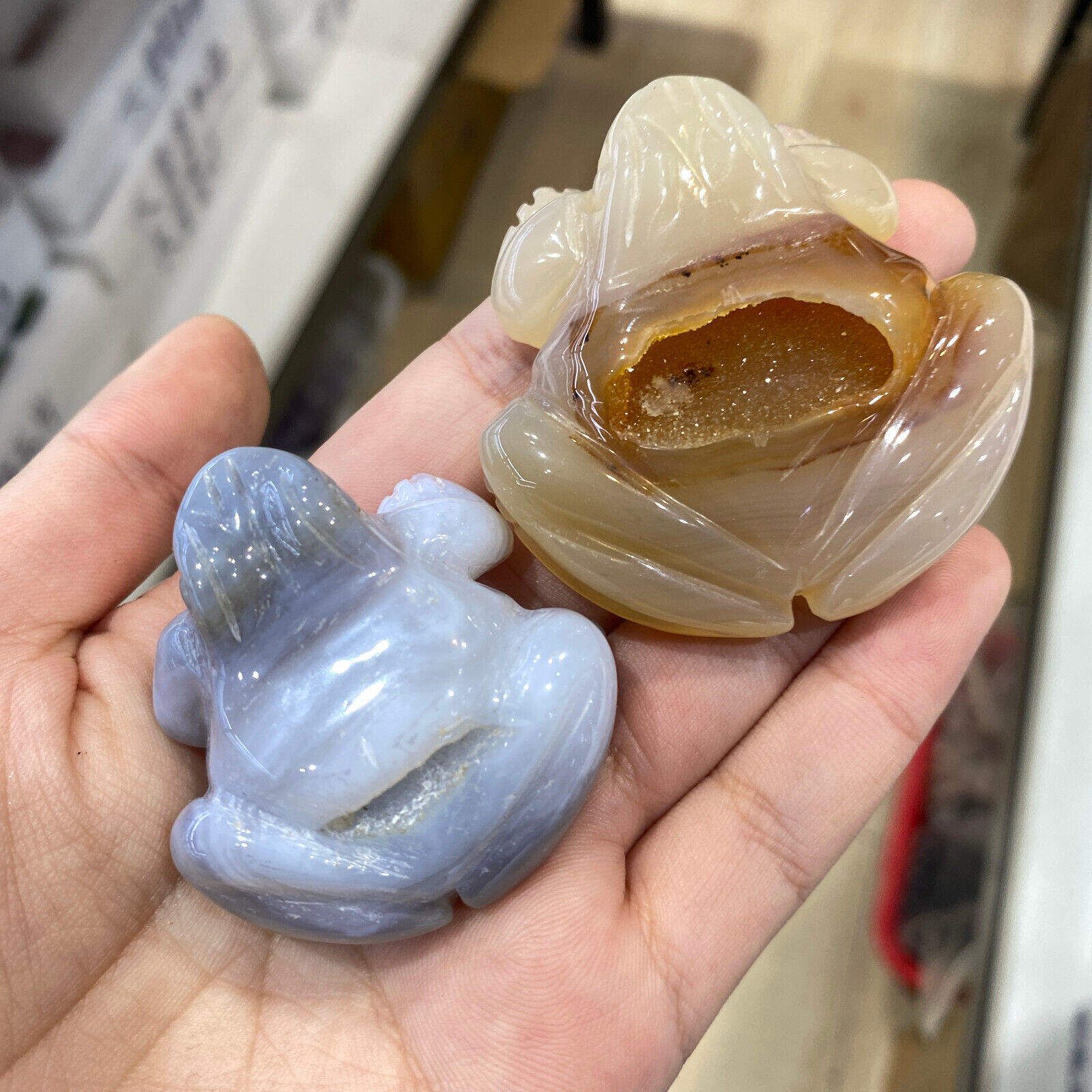 1PC Natural Geode agate hand carved frog Crystal quartz Healing Gift random
