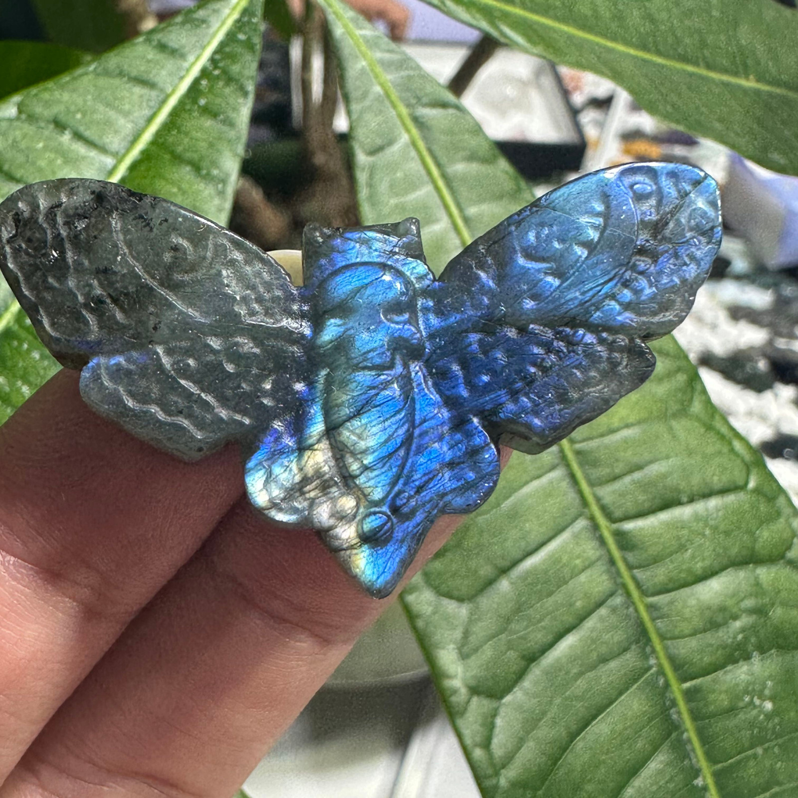 Natural Labradorite Ghost face Moth Specimen Quartz Skull Crystal Reiki Healing