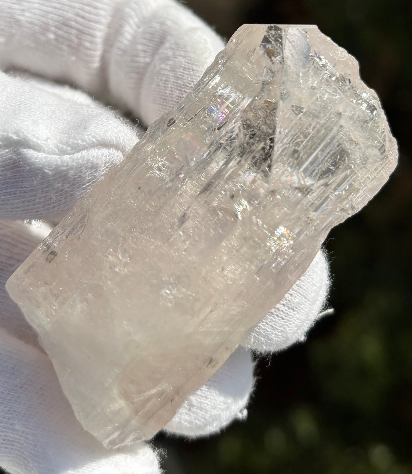 USA SALE *SEE VIDEO* 50g 2.5″ DANBURITE CRYSTAL SPECIMEN CLEAR CLARITY ETCHED