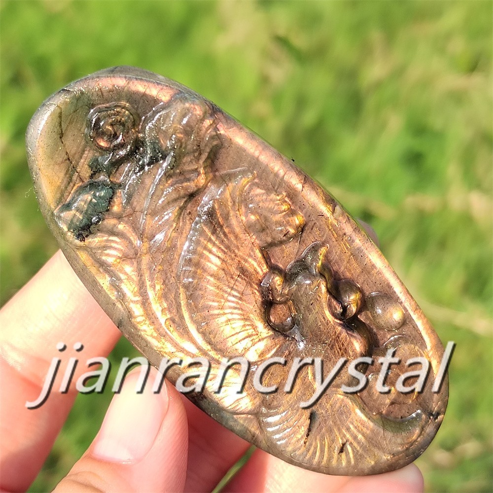 Rare Natural Labradorite Carved Phoenix Totem Quartz Crystal Skull Healing 1pc