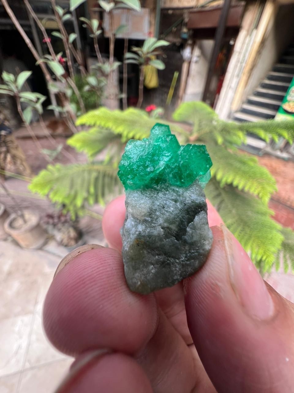 15Gm | Natural Emerald Crystal Bunch In Matrix Specimen l Swat, Pakistan.