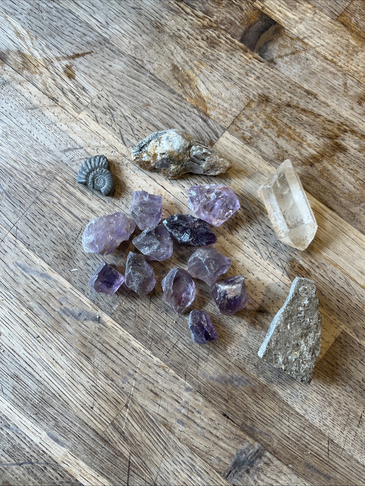 Job Lot Crystals Rocks Fossils Etc Mixed Bundle Mixed Sizes