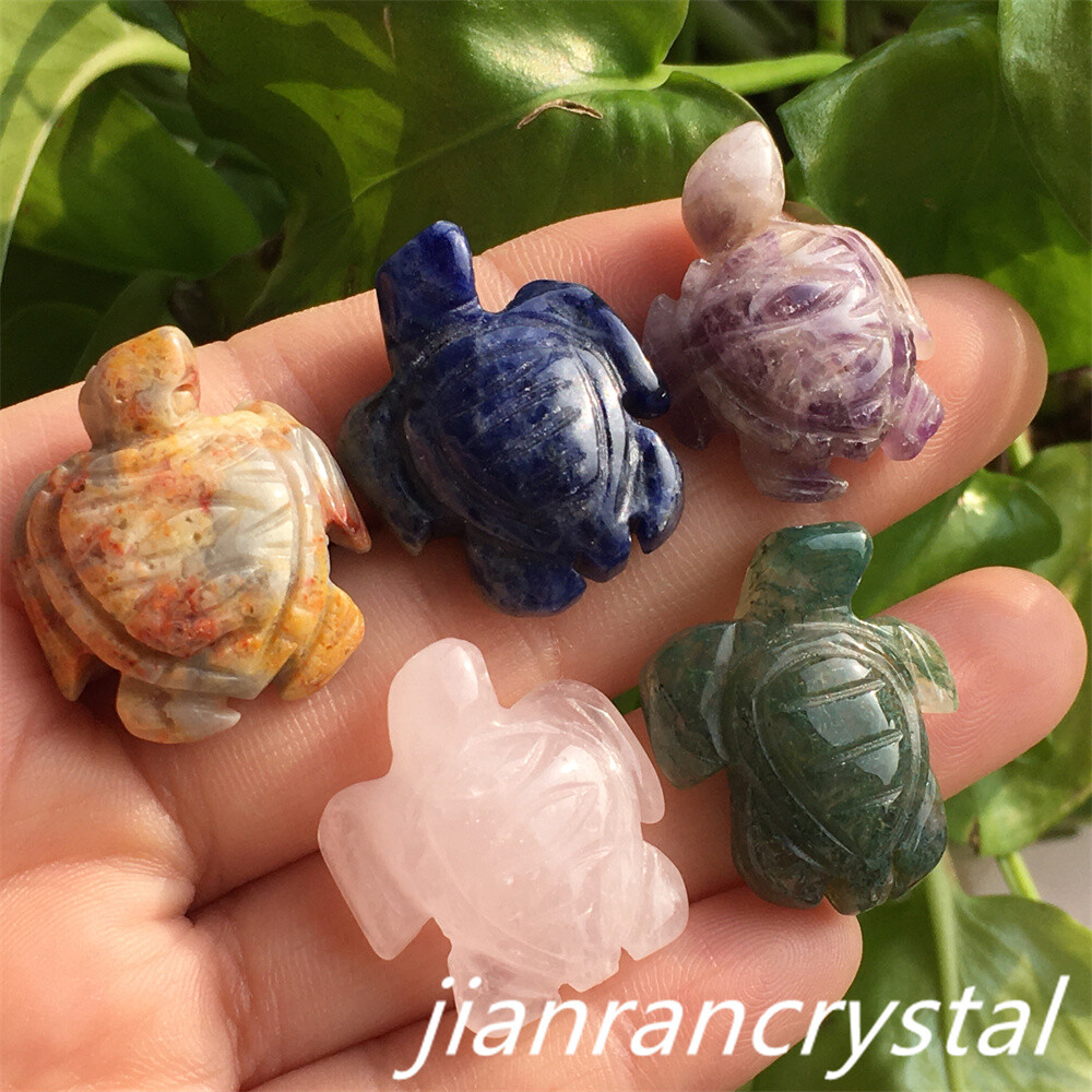 5pcs Mix Natural Quartz Tortoise Carved Mini Quartz Crystal Skull Reiki Healing
