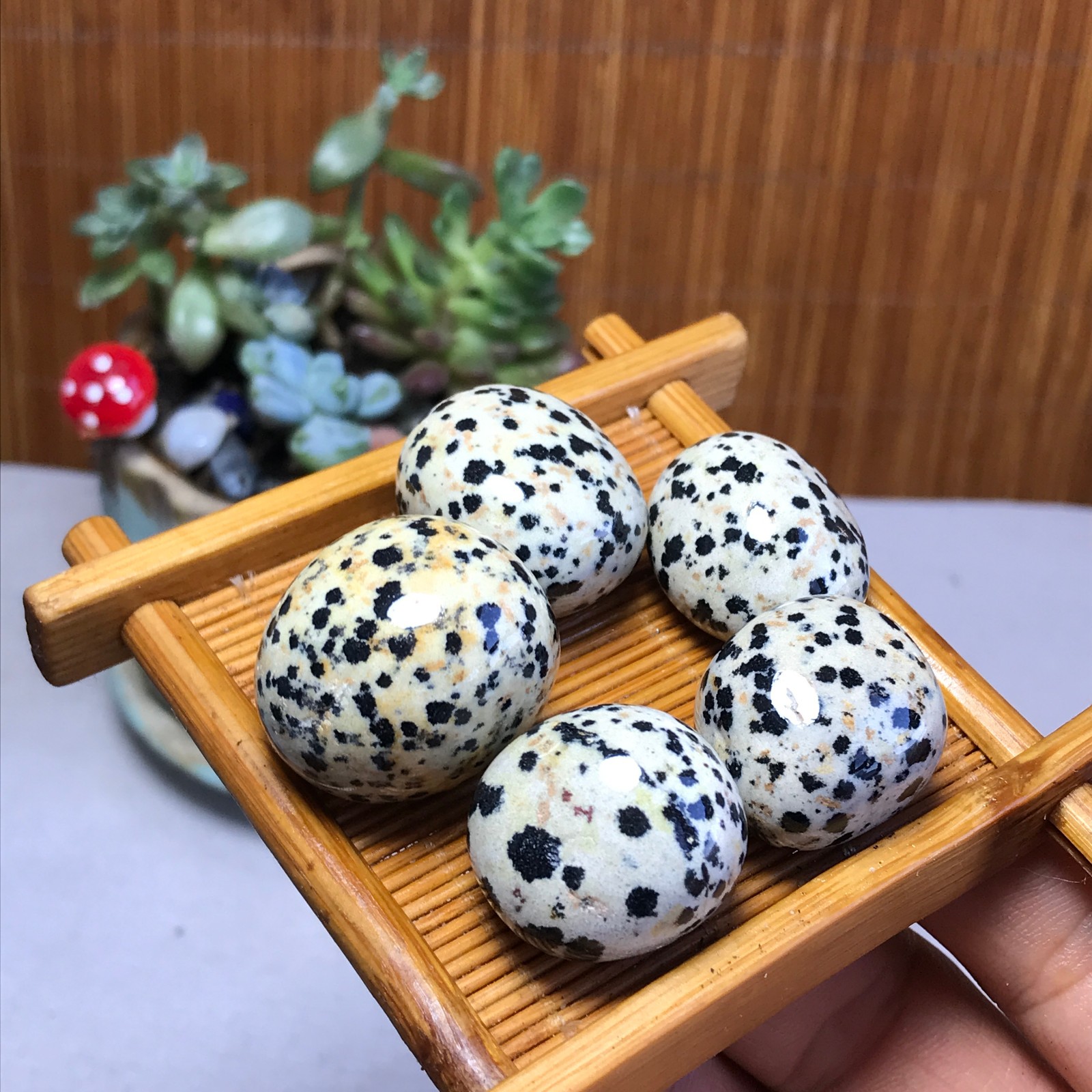 24-24-18mm 5Pcs Natural spotted stone Crystal gemstone Mineral Specimen A5717