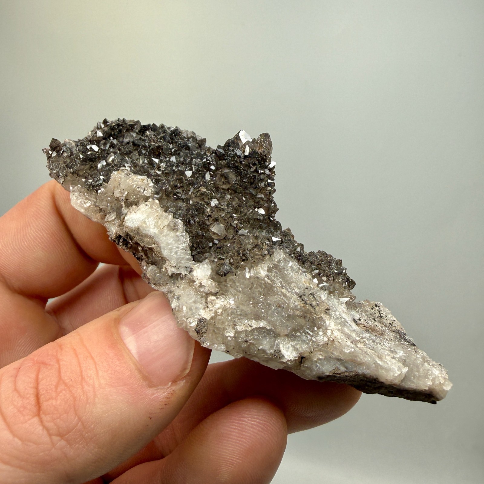 Black Druze with Hydrocarbon Phantom Percher Herkimer Diamonds, Rare Matrix!