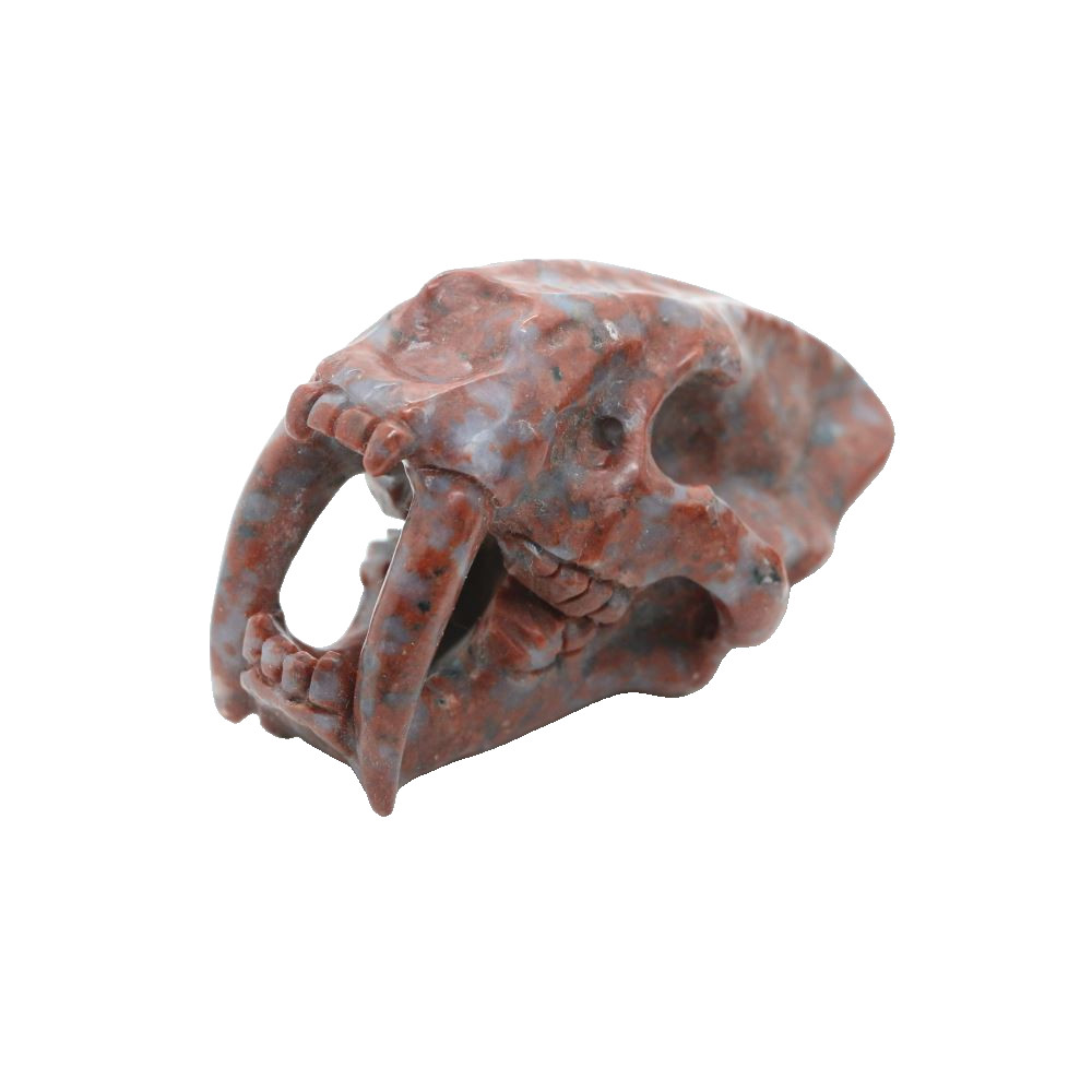 3″ RED WHITE STONE Carved Saber-toothed tiger Crystal Skull Random 1pc