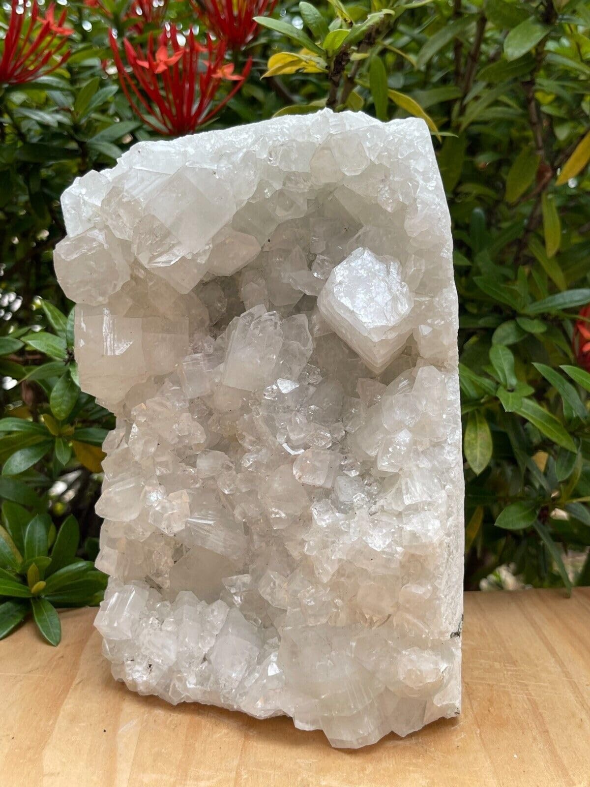 GAF TREASURES Apophyllite Cluster Geode Free Standing | Natural 4-5 lb, White