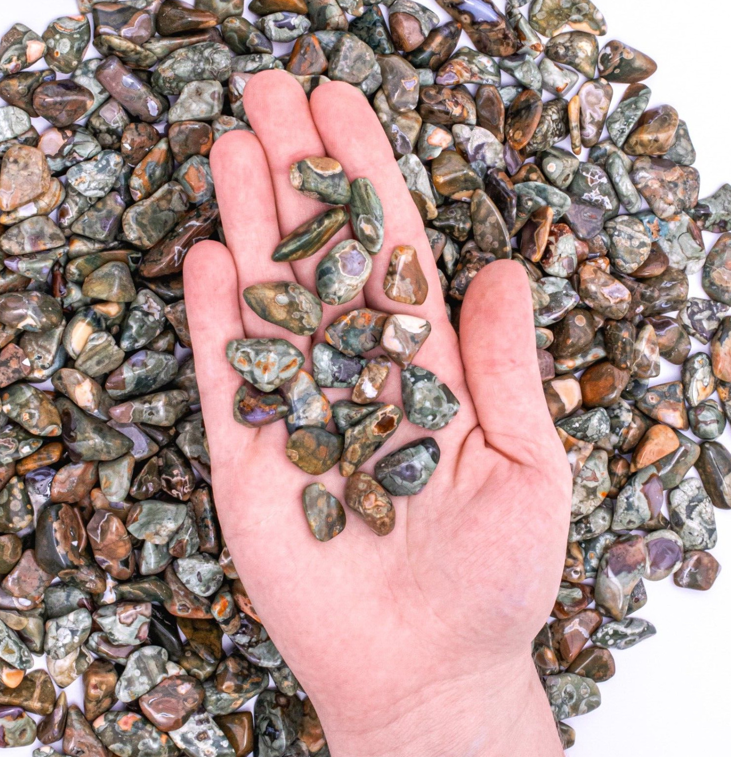 25 Grams Tumbled Rainforest Rhyolite Jasper Gemstone Crystals 10-25 Stones Bulk