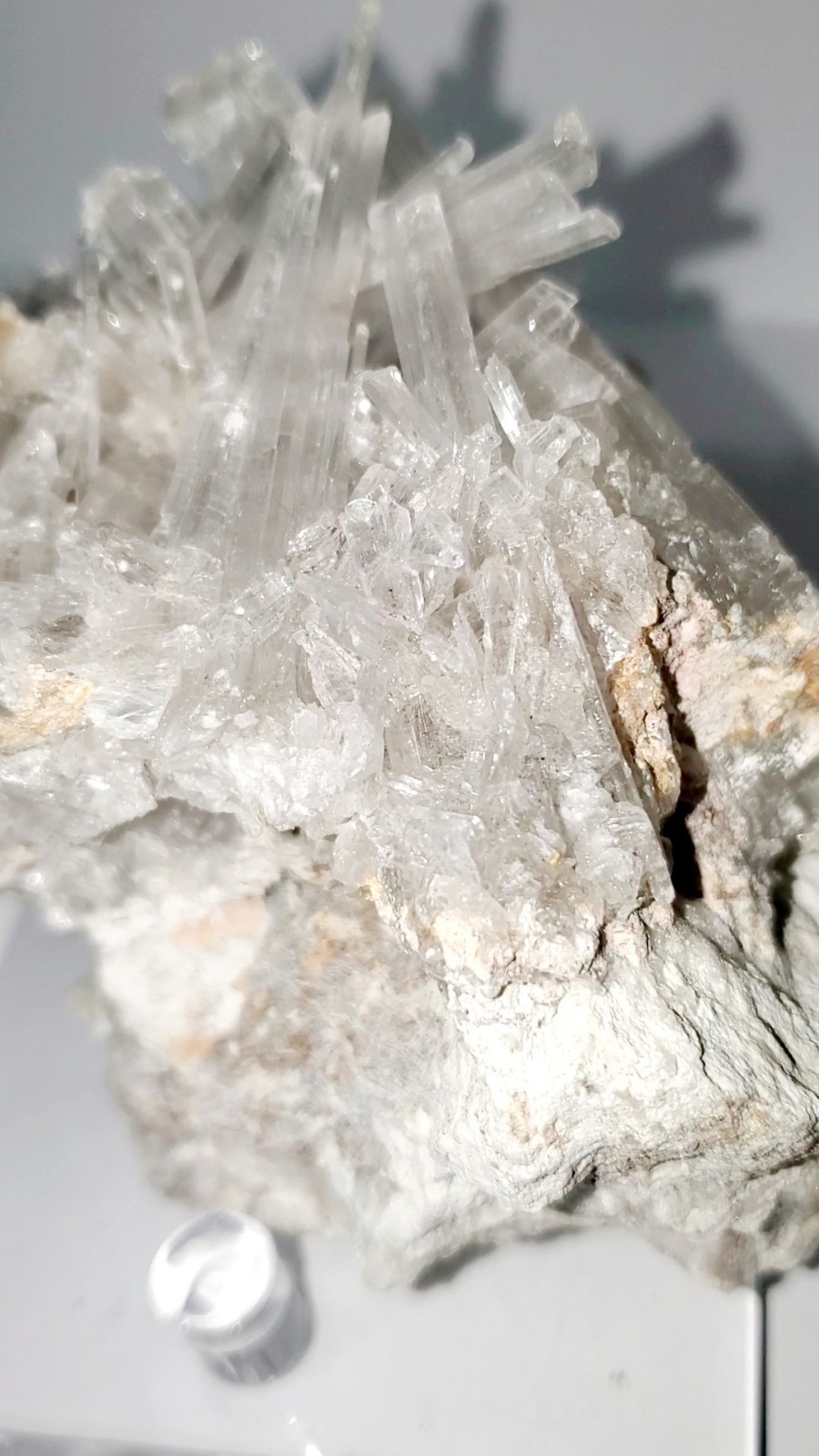 418g Hydroboracite with Gypsum Selenite Cluster