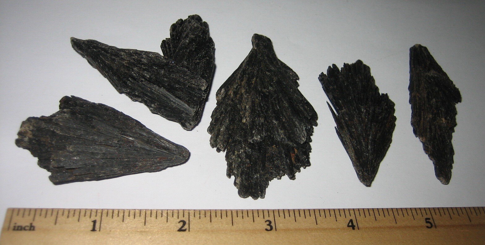 5 NATURAL ROUGH 2″-2.6″ BLACK KYANITE CRYSTAL SPRAY CLUSTERS BRAZIL ~ 99.2g *1