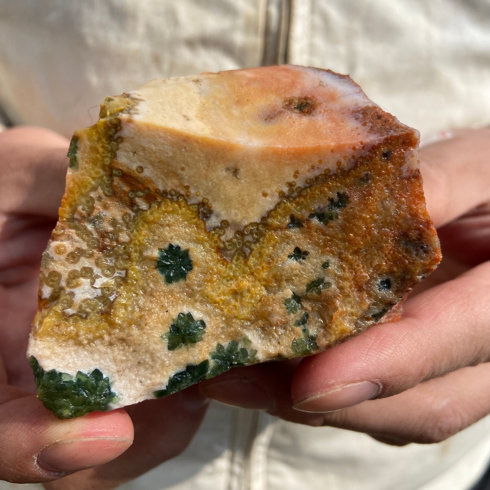 0.5lb Natural colourful ocean jasper raw stone crystal rough mineral specimen